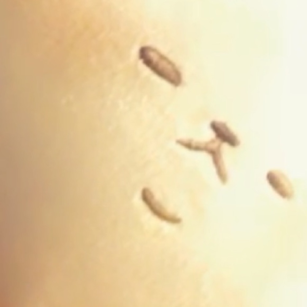 Meet your Posher, Caitlin